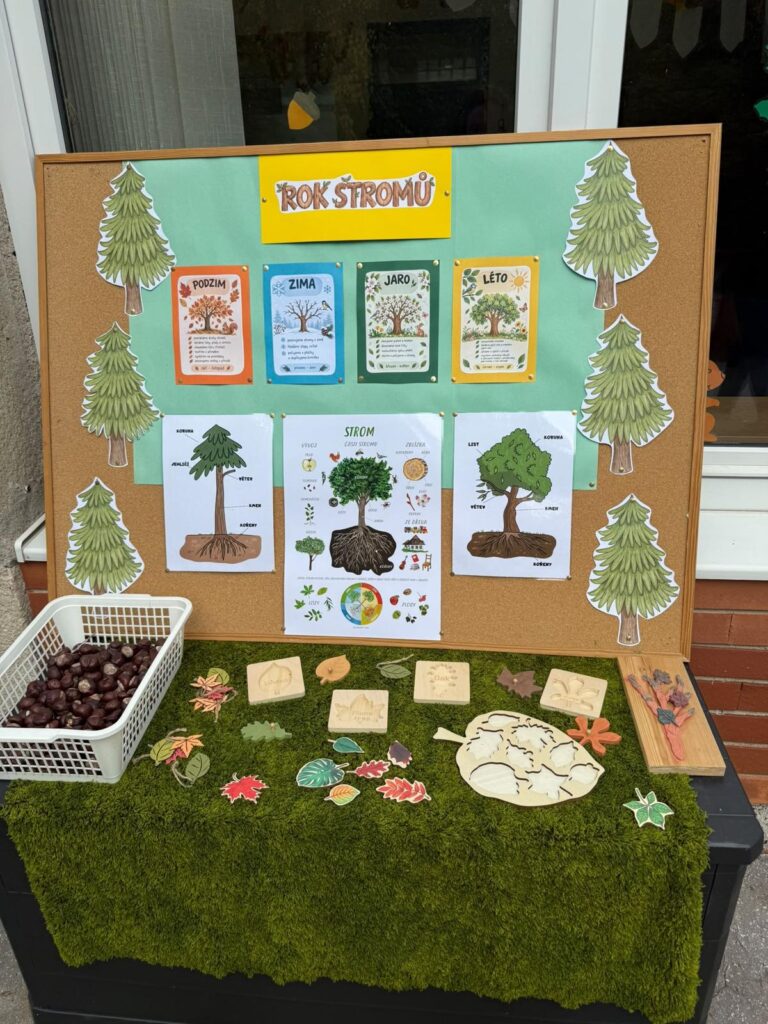 Nástěnka projektu Rok stromů s obrázky ročních období a stavby stromu, pod ní mech, kaštany a dřevěné lístky.